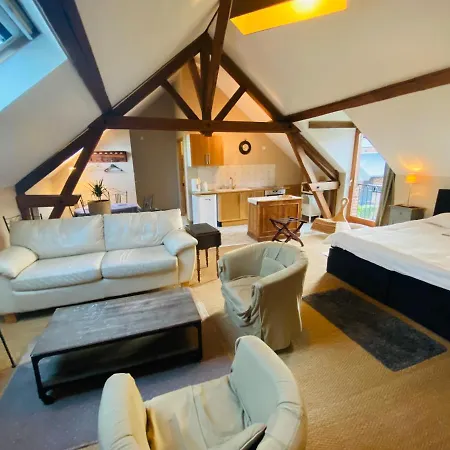 费梅德莫特科威兹酒店 3* Crèvecoeur-sur-lʼEscaut