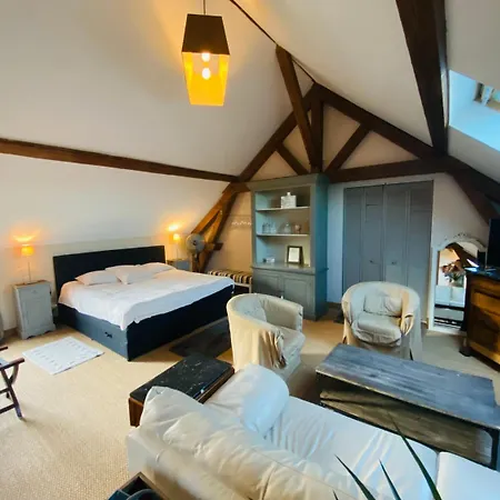 费梅德莫特科威兹酒店 3* Crèvecoeur-sur-lʼEscaut